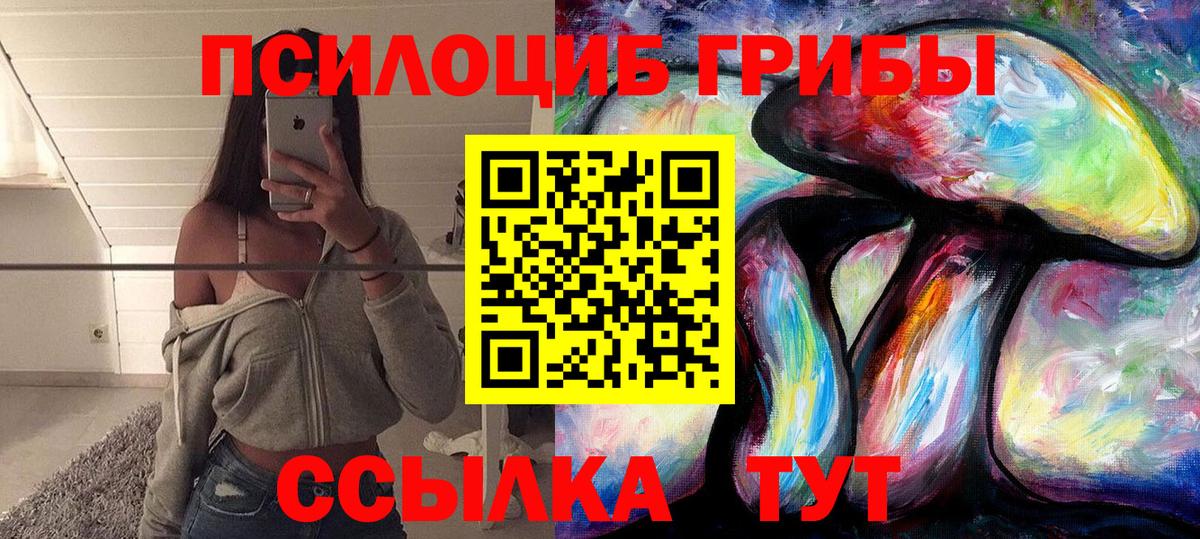 Псилоцибиновые грибы Psilocybine cubensis Ивантеевка